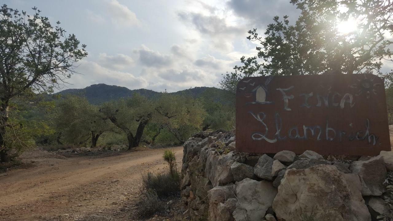Finca Llambrich ลาเมตยาเดมาร์ ภายนอก รูปภาพ